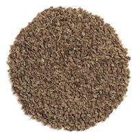 Celery Seed MAIN
