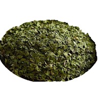 cilantro MAIN