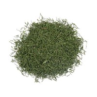 dill week MAIN