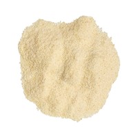 Garlic Salt MAIN