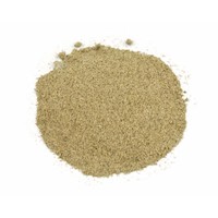 Ground Sage MAIN
