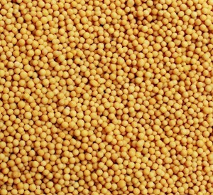 Mustard Seed, Whole LARGE
