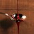Killer Hogs The BBQ Sauce 16 OZ SWATCH
